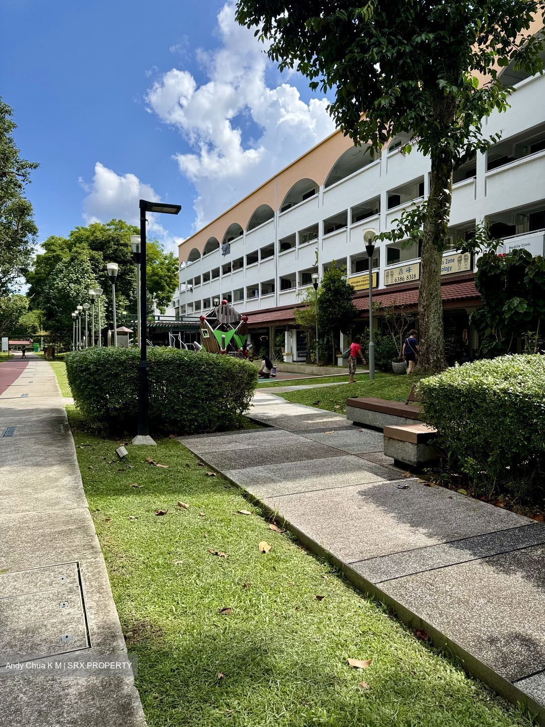 Hougang Avenue 8 (D19), Shop House #575409221